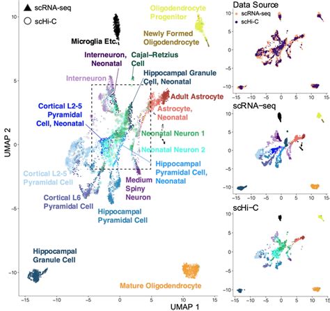 Single Cell Multi Omics Integration And Modeling