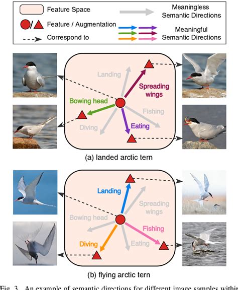 Figure From Fine Grained Recognition With Learnable Semantic Data