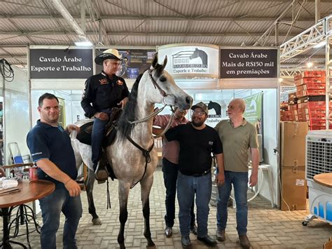 Circuito ANCAF ABCCA de Três Tambores e Seis Balizas finaliza temporada