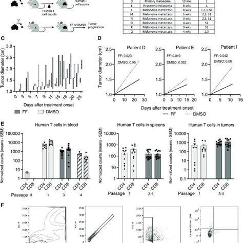 Effect Of FF On Human Melanoma Growth In A PDX Model A Experimental