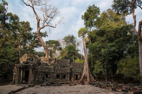 Early Morning At Thetomb Raider Templeta Prohm Angkor Ruins Cambodia