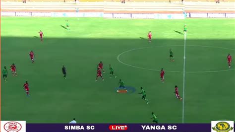 Simba Vs Yanga Live Today 2024 - Ibbie Laverne