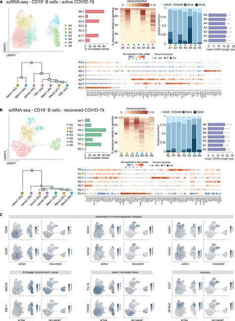 Maturation Trajectories And Transcriptional Landscape Of Plasmablasts