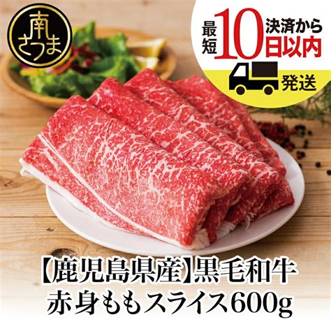 ふるさと納税 黒毛和牛 赤身 切り落とし 1kg 500g×2 切落し 牛丼 すき焼き 肉じゃが 炒め物 小分け 冷凍 スターゼン 鹿児島県