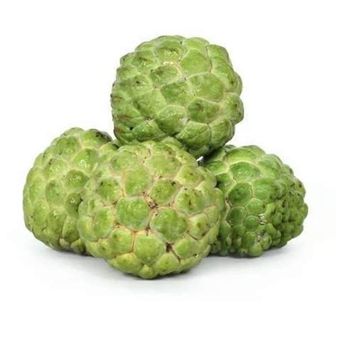 India A Grade Custard Apple Sitaphal Packaging Type Carton