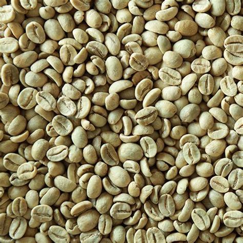 A Grade Plantation Arabica Coffee Bean For Home Hotel And Office At Rs