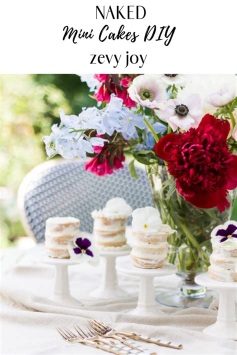 Naked Mini Cakes DIY Zevy Joy