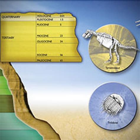 Fossil Evidence and Evolution