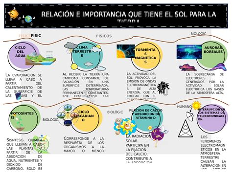 junto a comunicación Ardiente la importancia del sol para las plantas