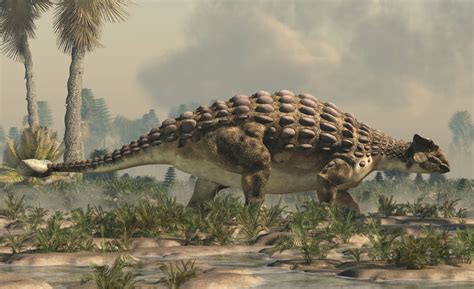 Ankylosaurus Popis Legendárního Dinosaura Z Období Křídy