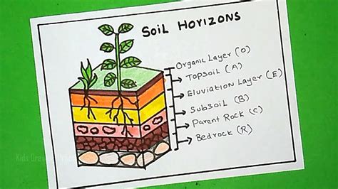 How To Draw Soil Layers Drawing Soil Horizons Diagram Chart Layers