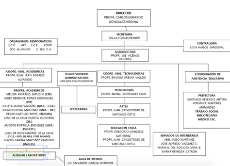 ᐈ Organigrama De Una Escuela Primaria Secundaria Funciones