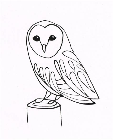 Pin On Owl