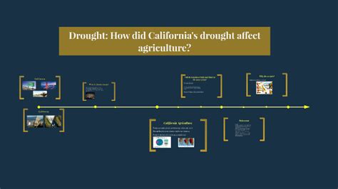 California Drought Agriculture by Devon Canales on Prezi