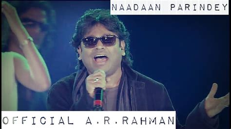 Nadaan Parinde From Rockstar A R Rahman Mohit Chauhan Song