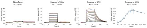 Spr Assays For Drug Discovery Reaction Biology