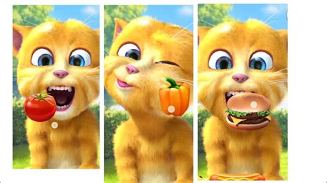 Ginger Cat Eating Burger 🍔🤤😋😍😹funny Viralvideo Youtube Gingercat