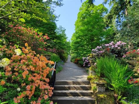 Dawyck Botanic Garden | Scotland Off the Beaten Track