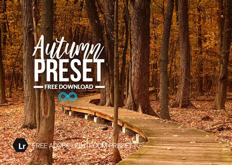 Free Autumn Lightroom Preset For Outdoor Photography In The Fall