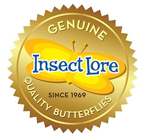 Insect Lore Butterfly Garden Review | 10zon