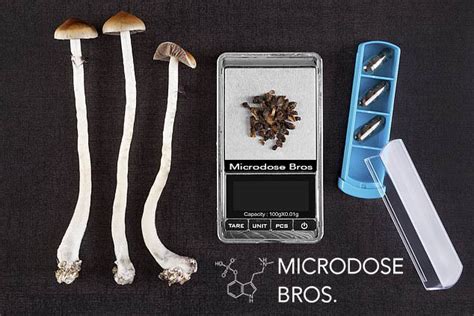 Magic Mushroom & Magic Truffles Calculator - Microdose Bros