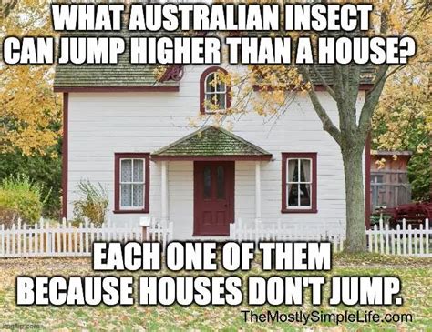 Top 50 Most Humorous Australia Jokes