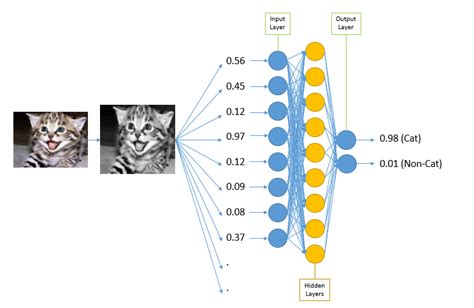 Image Classification Using Neural Networks In NET CodeProject