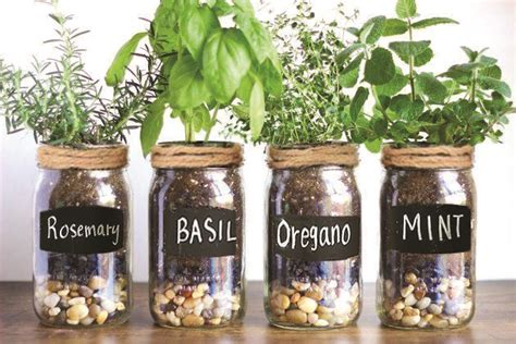 Mason Jar Herb Garden Drainage Fasci Garden