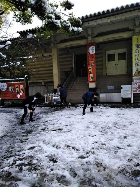 鎌倉国宝館 On Twitter 鎌倉でも数年ぶりの雪で、国宝館のまわりもすっかり雪景色の朝でした。入口付近の雪かきをして、皆様の来館をお待ちしております。融けた雪で足元が悪くなっています