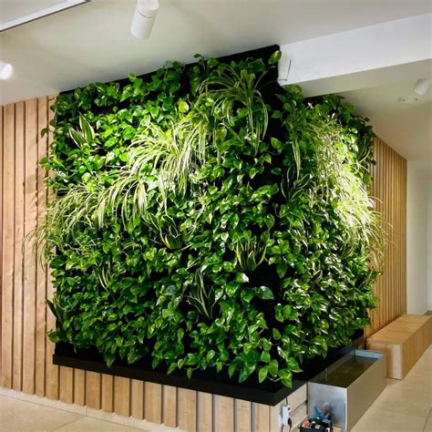 vertical hydroponic wall system indoor outdoor green wall gardening