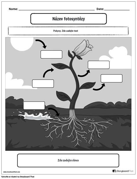 Foto Portr T Bw Storyboard Por Cs Examples