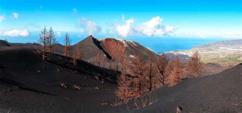 La Palma Excursi N De Un D A Al Volc N Tajogaite Con Senderismo Guiado