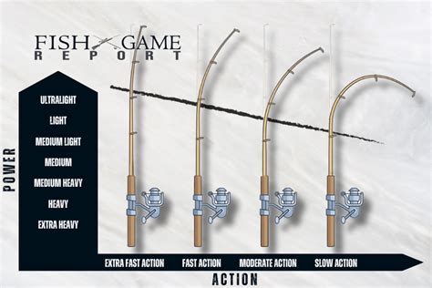 The Complete Fishing Rod Action and Power Chart - Fish and Game Report