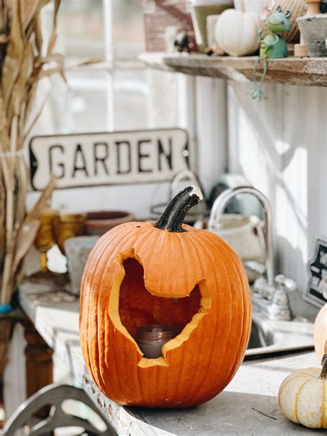 Farm Themed Pumpkin Carving Azure Farm