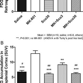 Effect Of MK 801 On Glucose Metabolism In Rat Brain A Representative