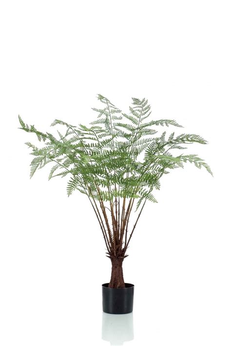 Artificial Fern 100cm Artificial Plants Shop Trees And Ferns