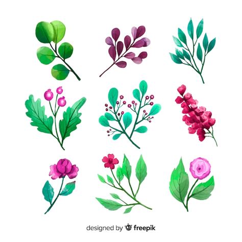 Free Vector Watercolor Floral Branch Collection