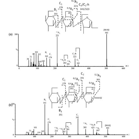 Negative Esi Cid Ms Ms Product Ion Of The Kojibiose A And Sucrose B