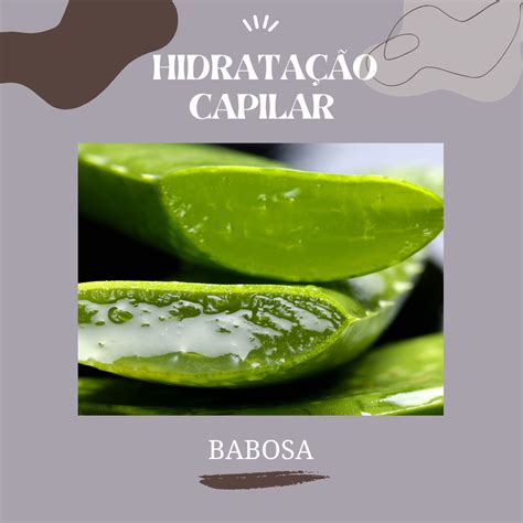 Receitas Caseiras Para Hidratar Seu Cabelo