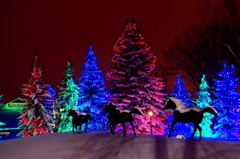 Christmas Lights at Spruce Meadows | Family Fun Calgary