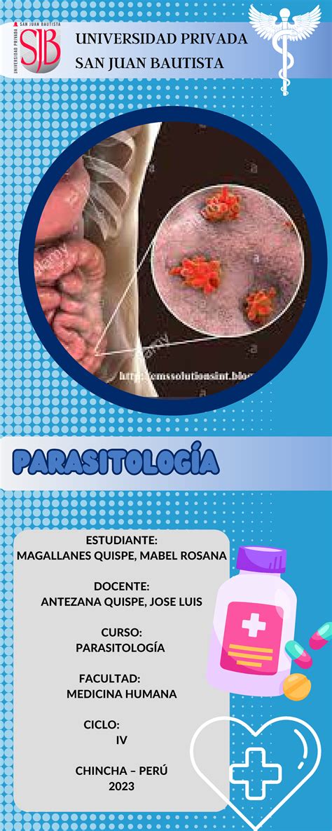 Parasito Pc Infografia Estudiante Magallanes Quispe