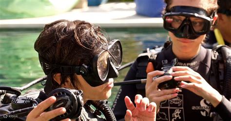 PADI Découvrez la plongée sous marine à Padangbai avec le centre de