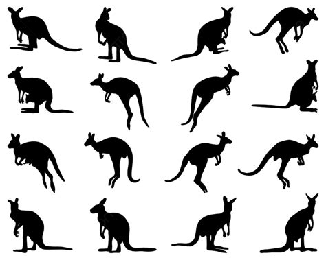 Black Silhouettes Of Kangaroo On A White Background Mammal Desert