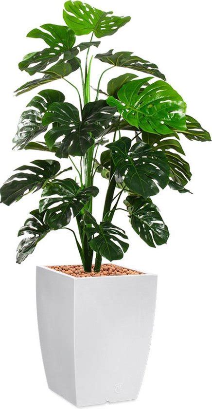 Htt Kunstplant Monstera In Genesis Vierkant Wit H Cm Bol