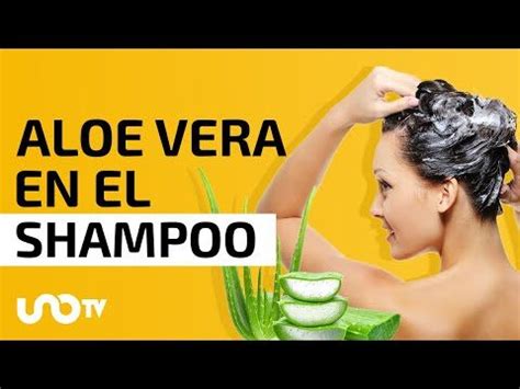 Beneficios de la sábila para el cabello Actualizado enero 2025