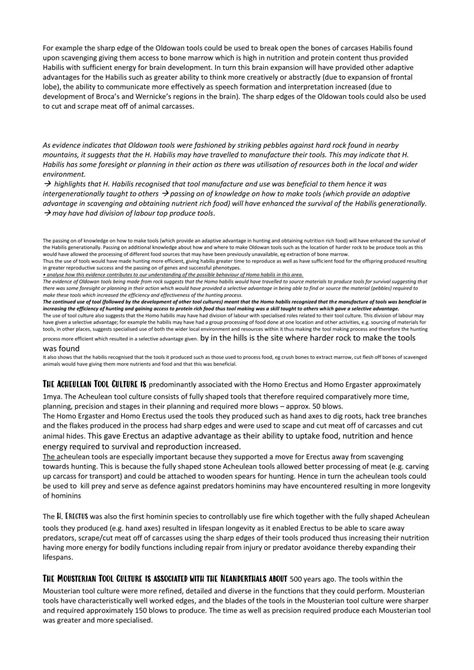 Human Evolution Biology Level 3 Ncea Thinkswap