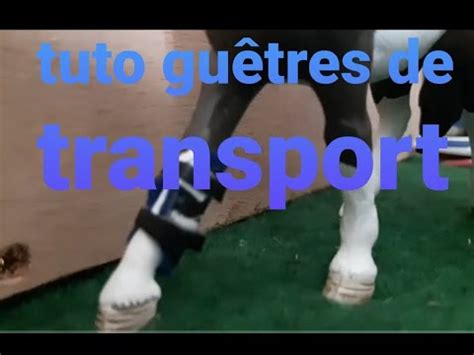 Tuto guêtres de transport schleich YouTube