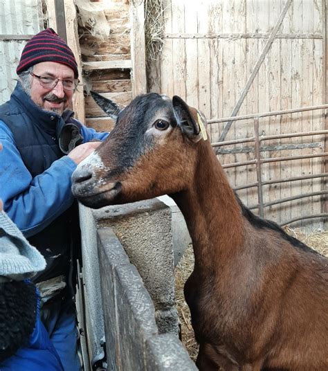 Fin De Saison Chez Jean Paul Chapelle La Ferme De Vialard