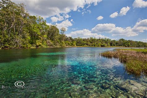 Rainbow River Tour — Paddleboard, Kayak, and Swim with a manatee in ...