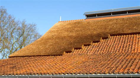 Combinatie Riet En Pannen Laren Gelderland